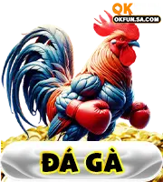 đá gà okfun sa com
