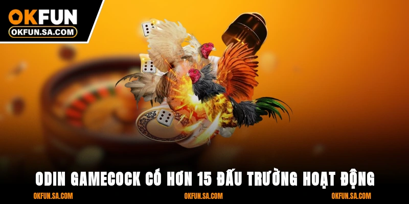 Đá Gà OKFUN 3 Odin Gamecock có hơn 15 đấu trường hoạt động